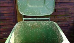 Households urged to pour boiling water in wheelie bin on Wednesday