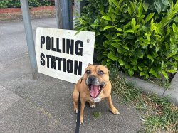 What about the exit poll for the Clacton by-election?