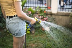 Wessex Water brings in hosepipe ban for 1.4m people as statement issued