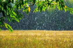 Met Office names 14 areas facing heavy rain on Friday - full list