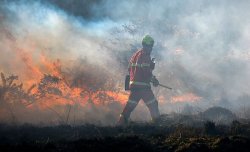 ISIS urges supporters to scourge UK with wildfire: 'Burn down your first forest'