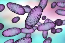 Russia breaks silence on 'plague lab leak' as 14th-century disease forces lockdown