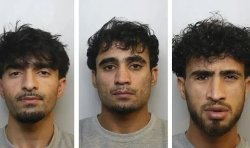 Three men and boy from Afghanistan rape teenage girl in hours-long attack
