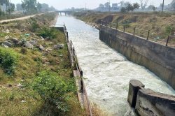 Horror as girl, 16, gang raped and flung into canal - 'survives grabbing a tree branch'