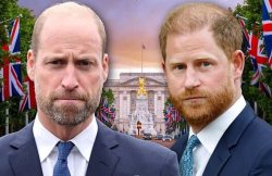 Prince William snubs Prince Harry reunion as insider exposes future King's true feelings