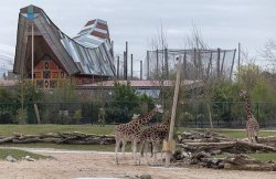 Major UK zoo closed on Friday 'to keep everyone safe' as statement issued
