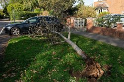 Storm Boelo leaves 82,000 homes without power as families face further travel chaos