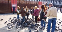 Travellers warned to ‘think twice’ about holiday mistake that could cost hundreds