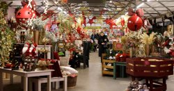 'I visited the garden centre that transforms into one of UK's best Christmas shops'