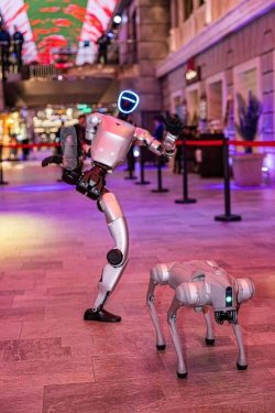 MSC Cruises introduces AI staff and robotic dogs on ships in 2026