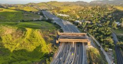 World’s largest wildlife bridge to open over extremely busy road after £85million project