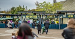 'Absolutely incredible' park crowned Britain's best zoo by Tripadvisor — full list