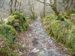 The 2,000-year-old Roman road in the UK you can still walk along