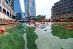 New floating natural outdoor waterpool in the heart of London