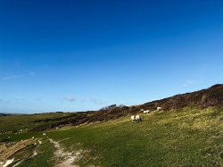 The 10 best country walks in the UK with a pub at the end — full list