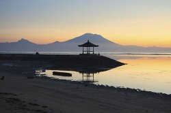 Foreign Office 'avoid' warning after British holidaymakers die