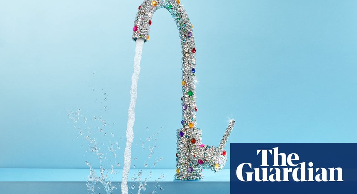 âTap water is boring, so they invent new productsâ: how did humble H2O become such big business? | Life and style