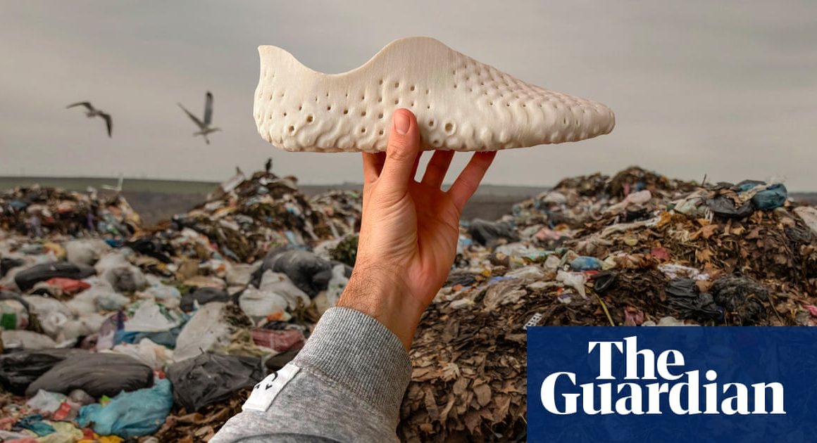 Pale, porous and 3D-printed: inside the weird and wonderful quest to make compostable shoes | Recycling