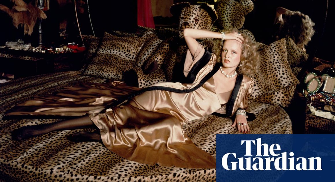 Microminis, Twiggy and flamingos: the âfabulousâ story of Biba | Fashion