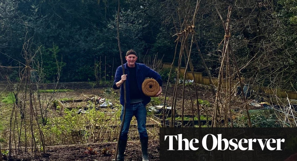 Springtime on the allotment