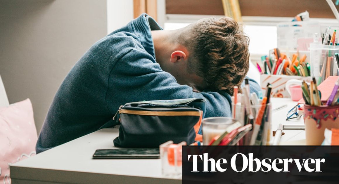 How Covid lockdowns hit mental health of teenage boys hardest | Young people