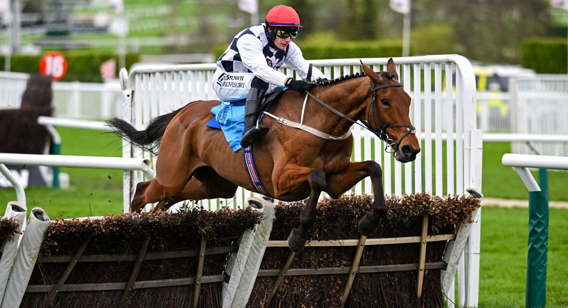 Cheltenham Festival results: Blackmore claims surprise win as stewards summon trainer | Racing | Sport