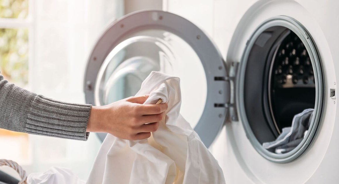 Cheapest time of day to use washing machine as expert names ‘magic hour to keep costs low’