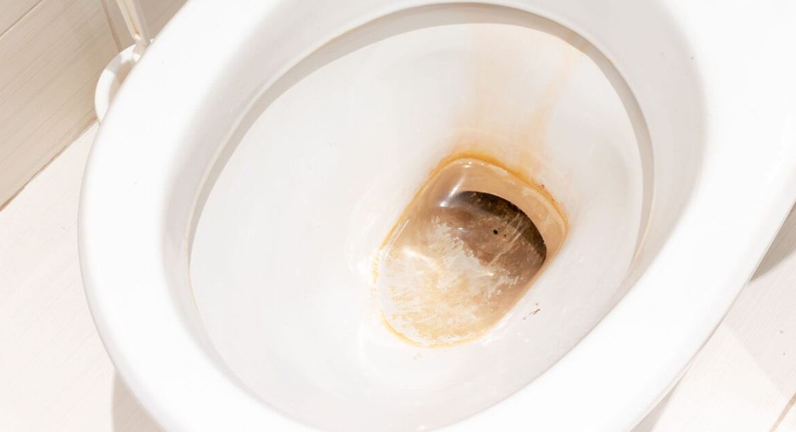 ‘Ingenious’ 2p cleaning hack removes stubborn toilet limescale