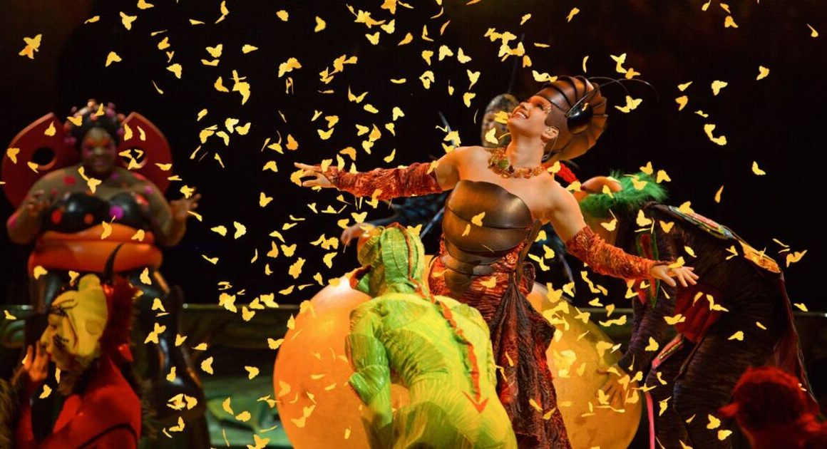 How to buy Cirque du Soleil OVO tickets before tour starts | Theatre | Entertainment