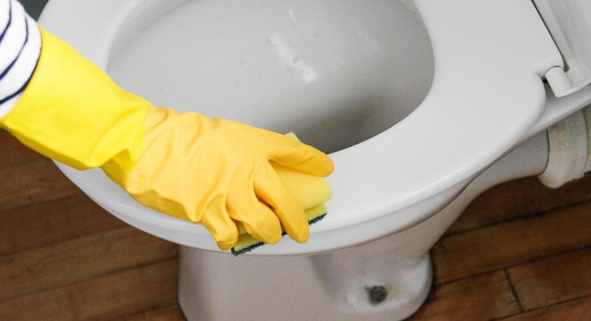 Yellow toilet seat stains are ’caused by bleach’ but 49p B&M item removes them