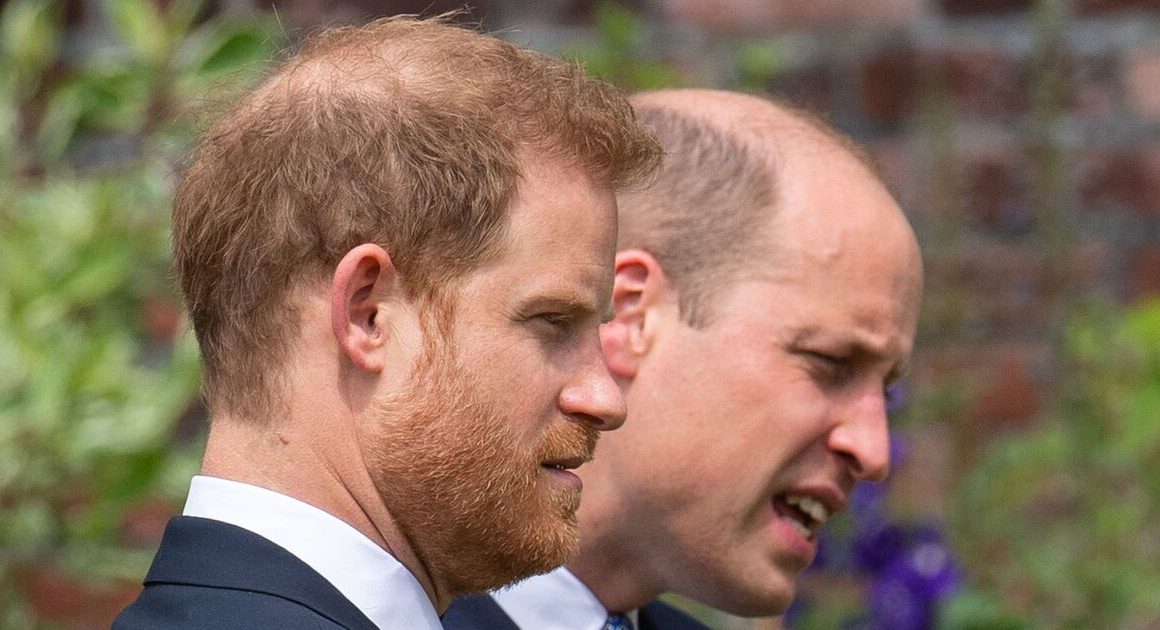 Prince Harry and Prince William may reunite for royal event | Royal | News