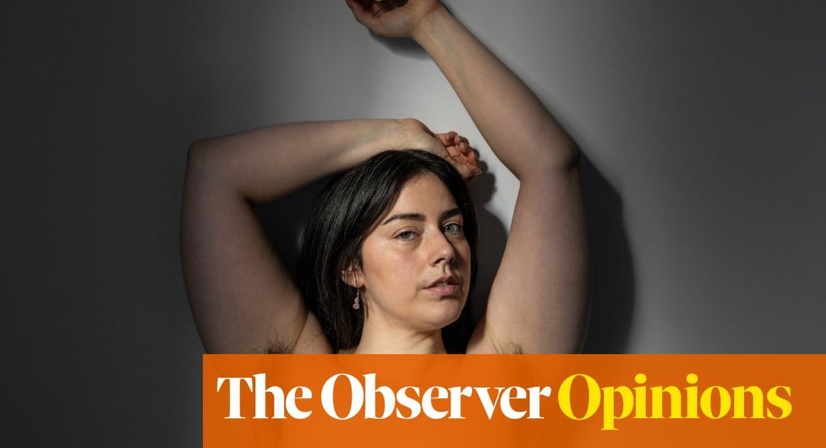 Could the pubic wig usher in a flourishing of the female bush? | Women’s hair