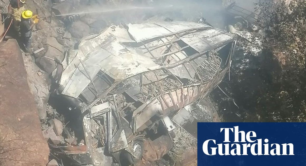 45 dead as bus plunges from bridge into ravine in South Africa | South Africa
