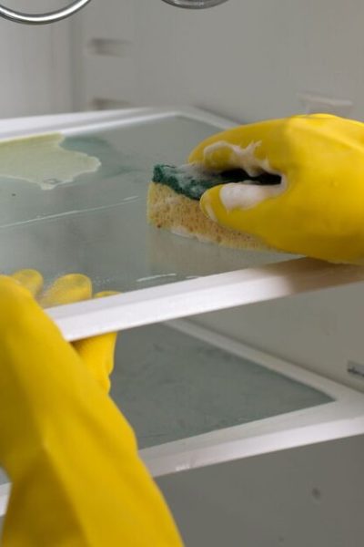 Target black mould in fridge effectively using common cleaning items