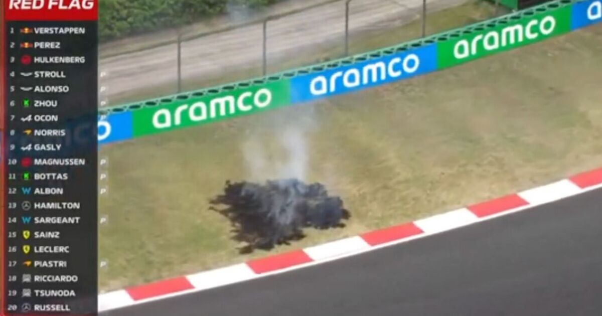 F1 commentator baffled as unusual fire forces red flag at Chinese Grand Prix | F1 | Sport