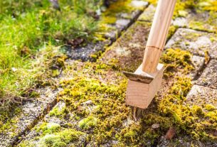 Remove moss from patios for good using household items