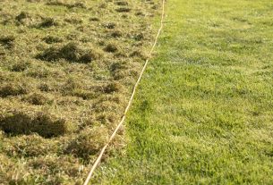 Monty Don shares how to remove moss from lawns so grass ‘grows back thicker than ever’