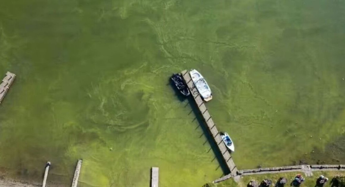 Beloved tourist attraction ‘turns green and toxic’ | UK | News