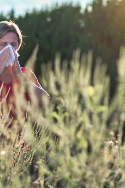 Reduce grass pollen using expert tips to kerb hay fever this Spring