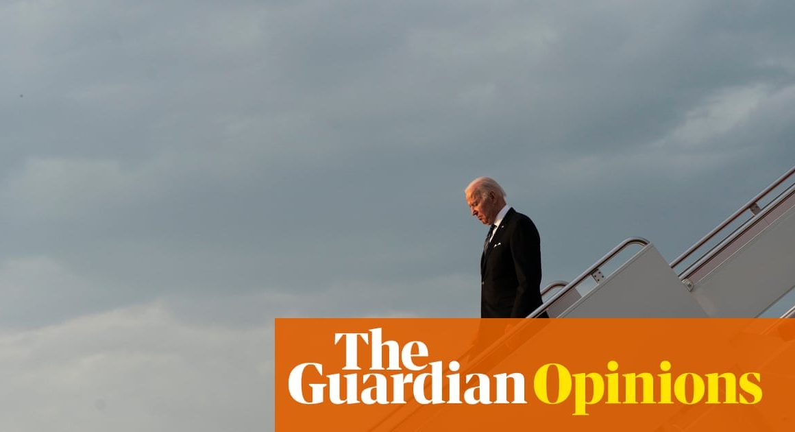 Joe Biden has given America a fighting chance to defeat Donald Trump | Moira Donegan