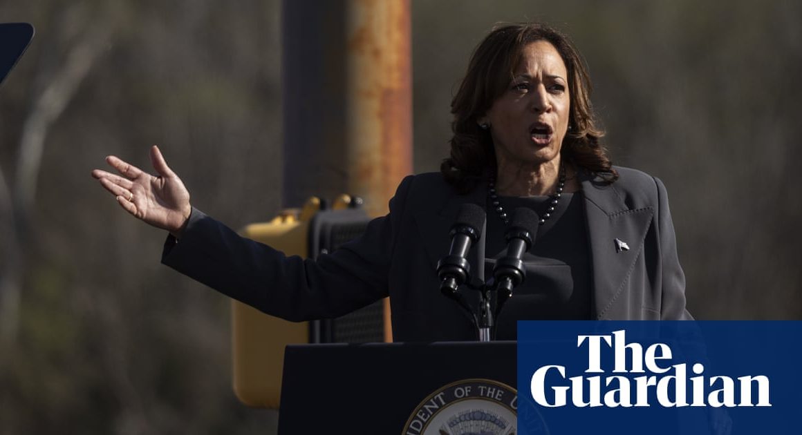 As Netanyahu arrives in Washington, Kamala Harris treads a careful path on Israel and Gaza | Kamala Harris