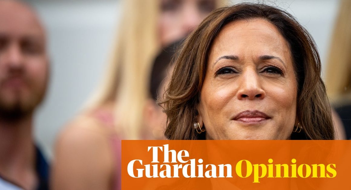 I worked to elect Kamala Harris. She must break with Biden on Israel and Palestine | Lily Greenberg Call