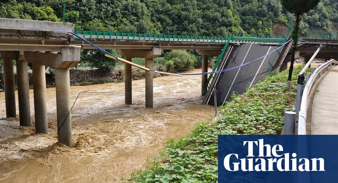 Several killed in Chinese bridge collapse during torrential rain | China