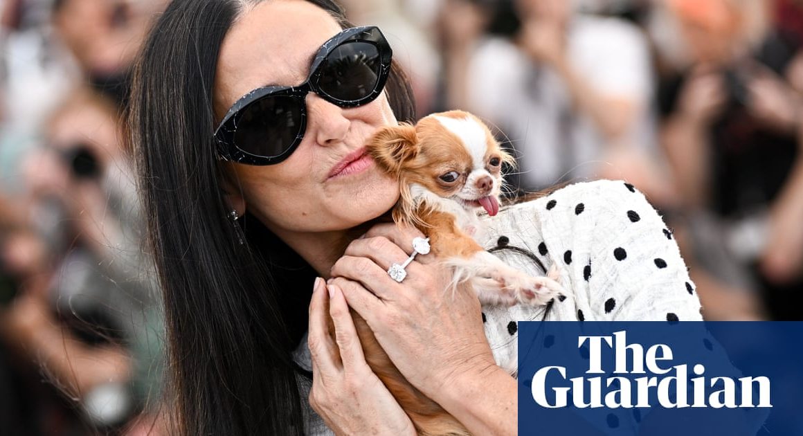 You’ve heard of nepo babies, but what about nepo dogs? The rise of the Very Important Pooch | Fashion