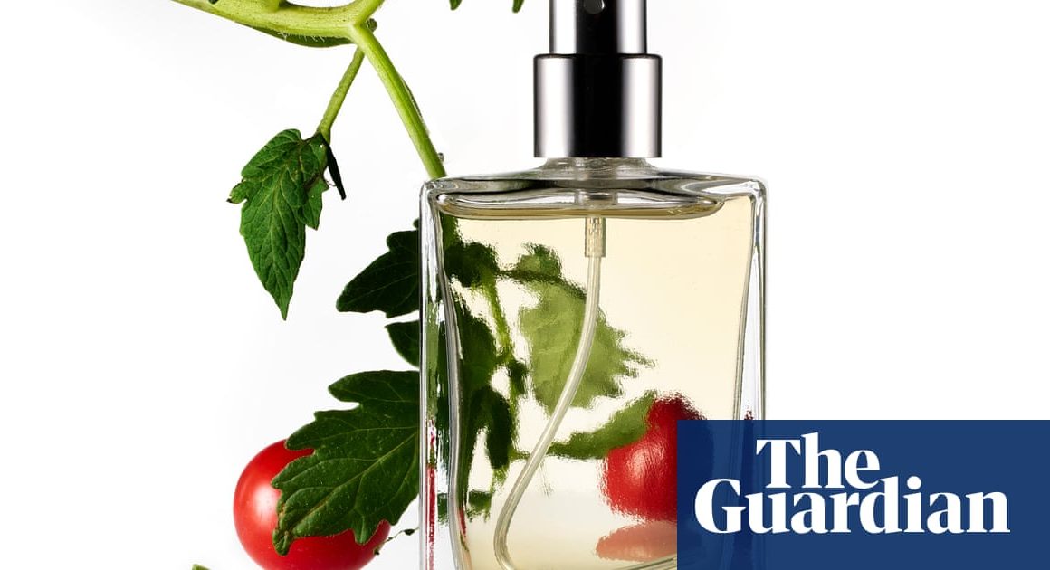 Vegetal scents make for the perfect summer fragrance, whatever the weather | Fragrance