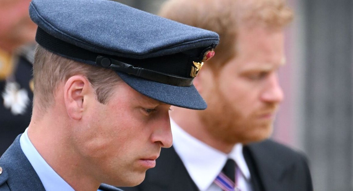 Harry ‘removed startling Spare content for William’ | Royal | News