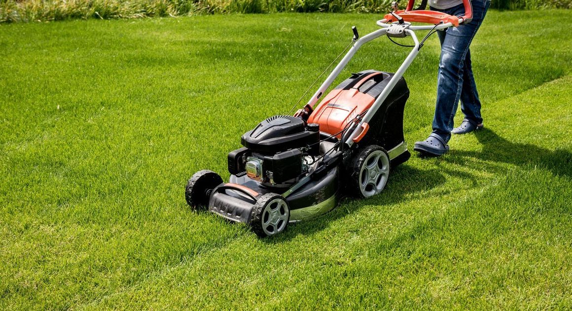 Worst lawn mistake to never do when mowing grass to avoid damage and weeds