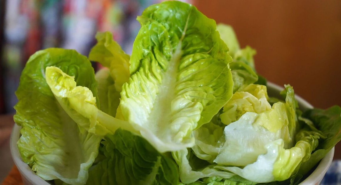 How to keep lettuce fresh and crispy longer with expert’s ‘correct’ storage tip