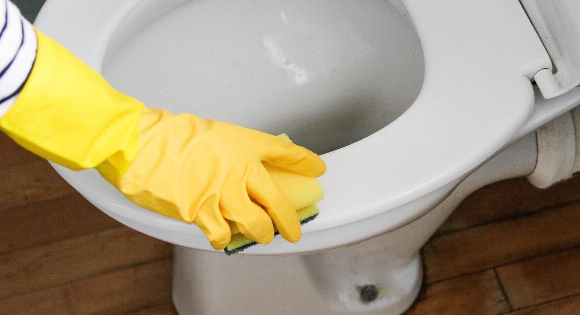 Yellow toilet seat stains are ’caused by bleach’ – ‘magic’ solution removes them