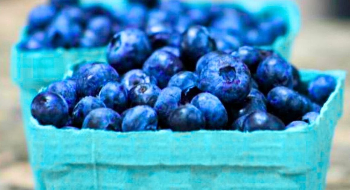 How to store blueberries properly to stop them from becoming mouldy or mushy